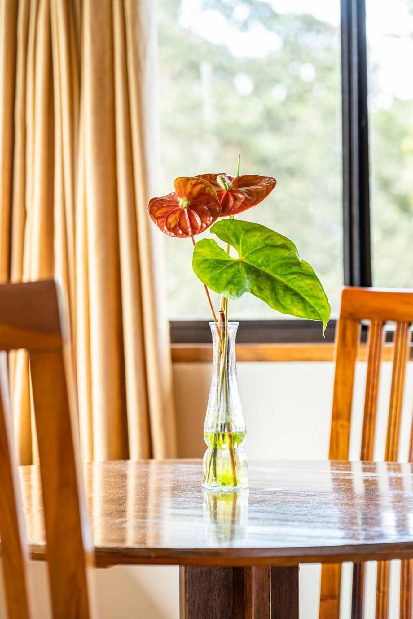 Volcano Inn Bed N Breakfast