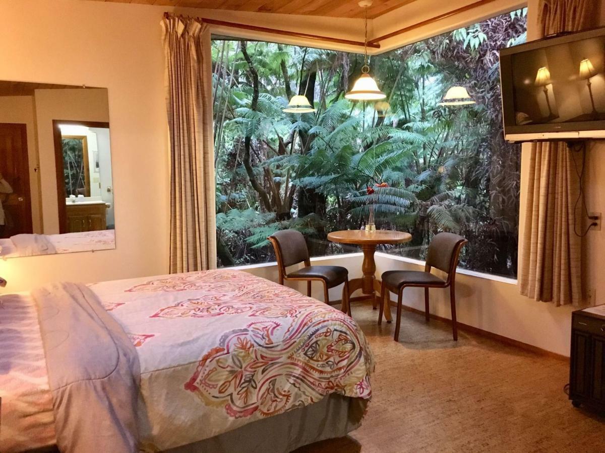 Lodge Volcano Inn Bed N Breakfast Volcano