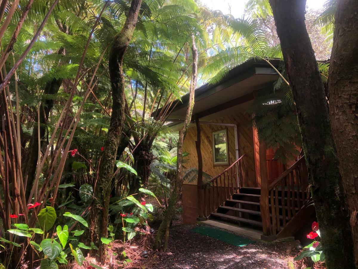 Lodge Volcano Inn Bed N Breakfast