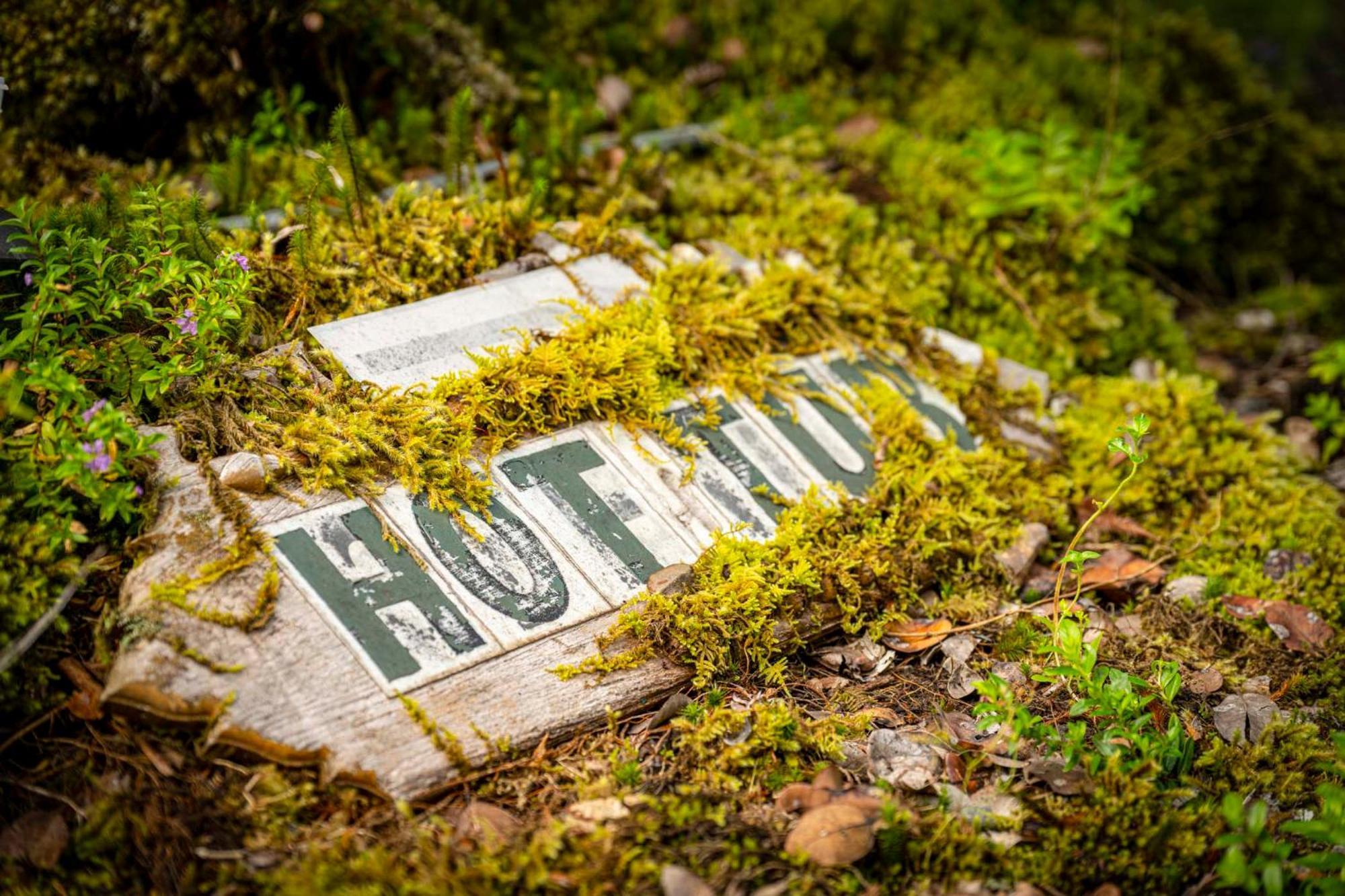 Lodge Volcano Inn Bed N Breakfast